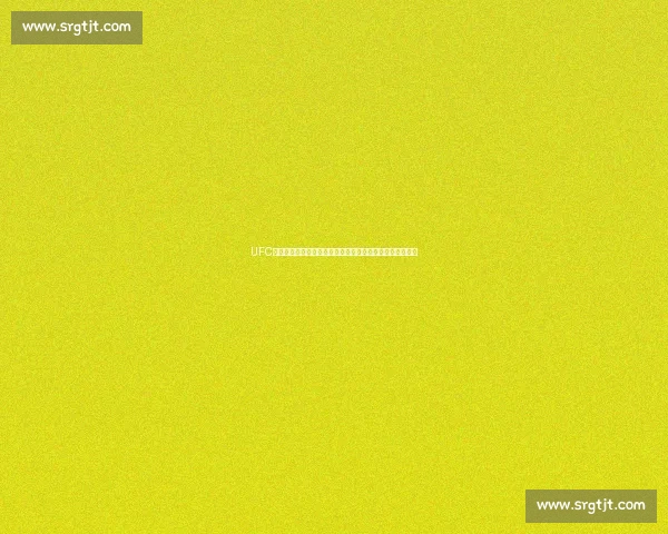 UFC锤子对决布洛克力量与技术巅峰之战全解析历史性终极碰撞