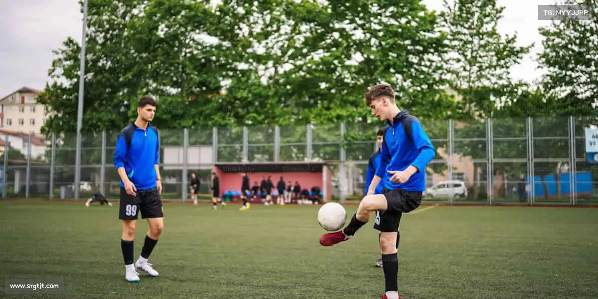 为什么选择我们